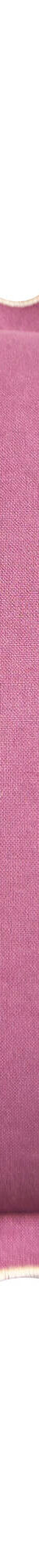 Coussin uni coton finition feston (mauve) Coussin uni coton finition feston (mauve)